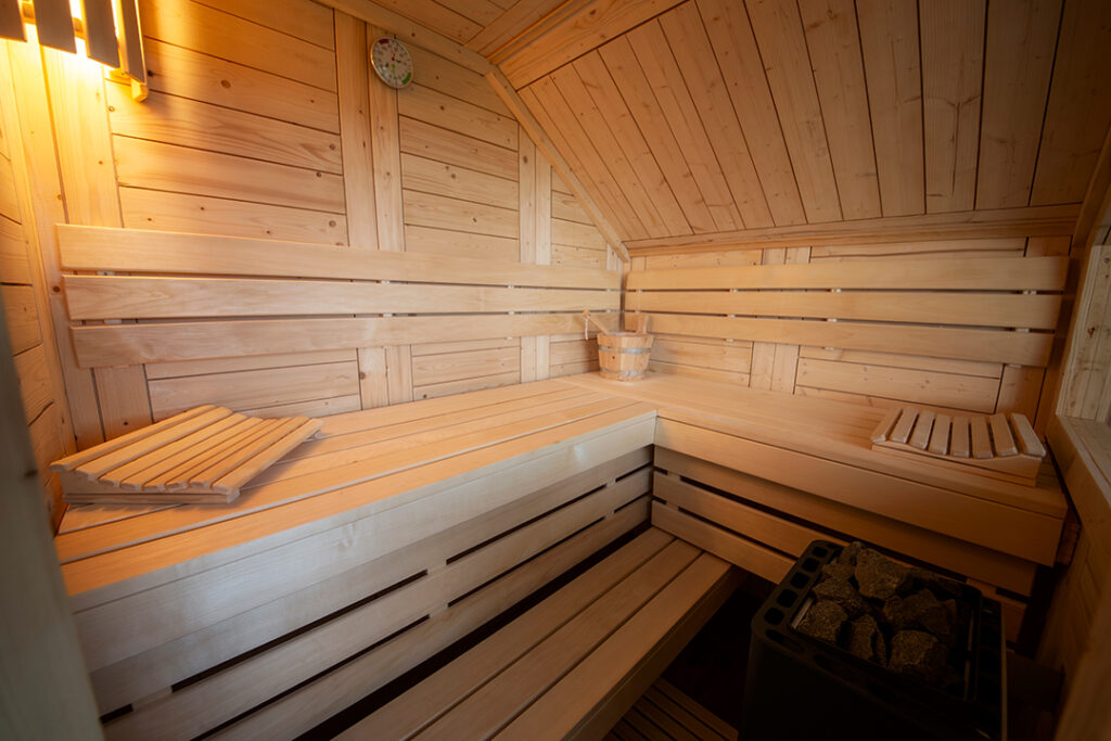 Suite_Alpine_26